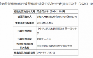 农银人寿宁波分公司因财务数据不真实被罚12万元