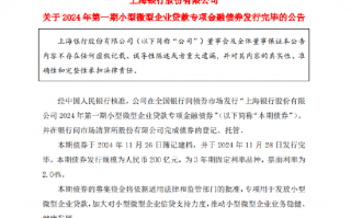 上海银行：2024年第一期小型微型企业贷款专项金融债券发行完毕