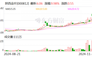 3天2板陕西金叶：公司实控人袁汉源目前因相关事项被公安机关指定居所监视居住