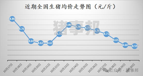 10月30日猪价汇总（北方稍强，南方稍弱！）-第3张图片-信阳市澳华食品有限责任公司