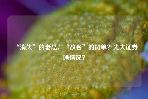 “消失”的老总，“改名”的罚单？光大证券啥情况？