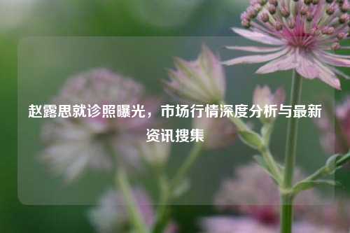 赵露思就诊照曝光，市场行情深度分析与最新资讯搜集