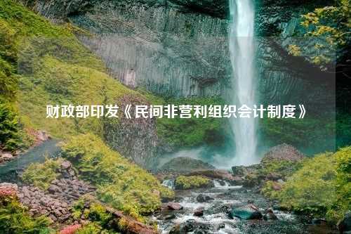 财政部印发《民间非营利组织会计制度》