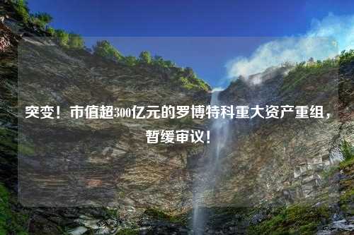 突变！市值超300亿元的罗博特科重大资产重组，暂缓审议！