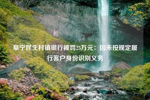 阜宁民生村镇银行被罚25万元：因未按规定履行客户身份识别义务