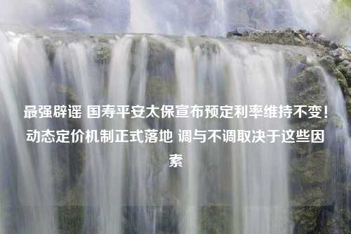 最强辟谣 国寿平安太保宣布预定利率维持不变！动态定价机制正式落地 调与不调取决于这些因素