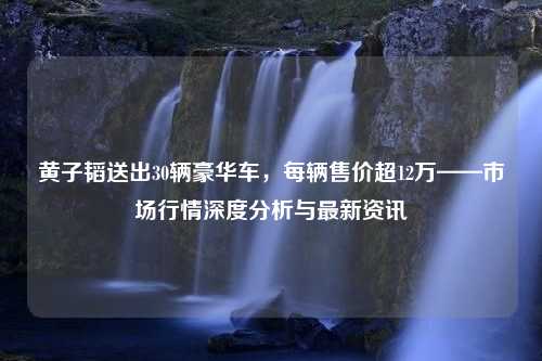 黄子韬送出30辆豪华车，每辆售价超12万——市场行情深度分析与最新资讯